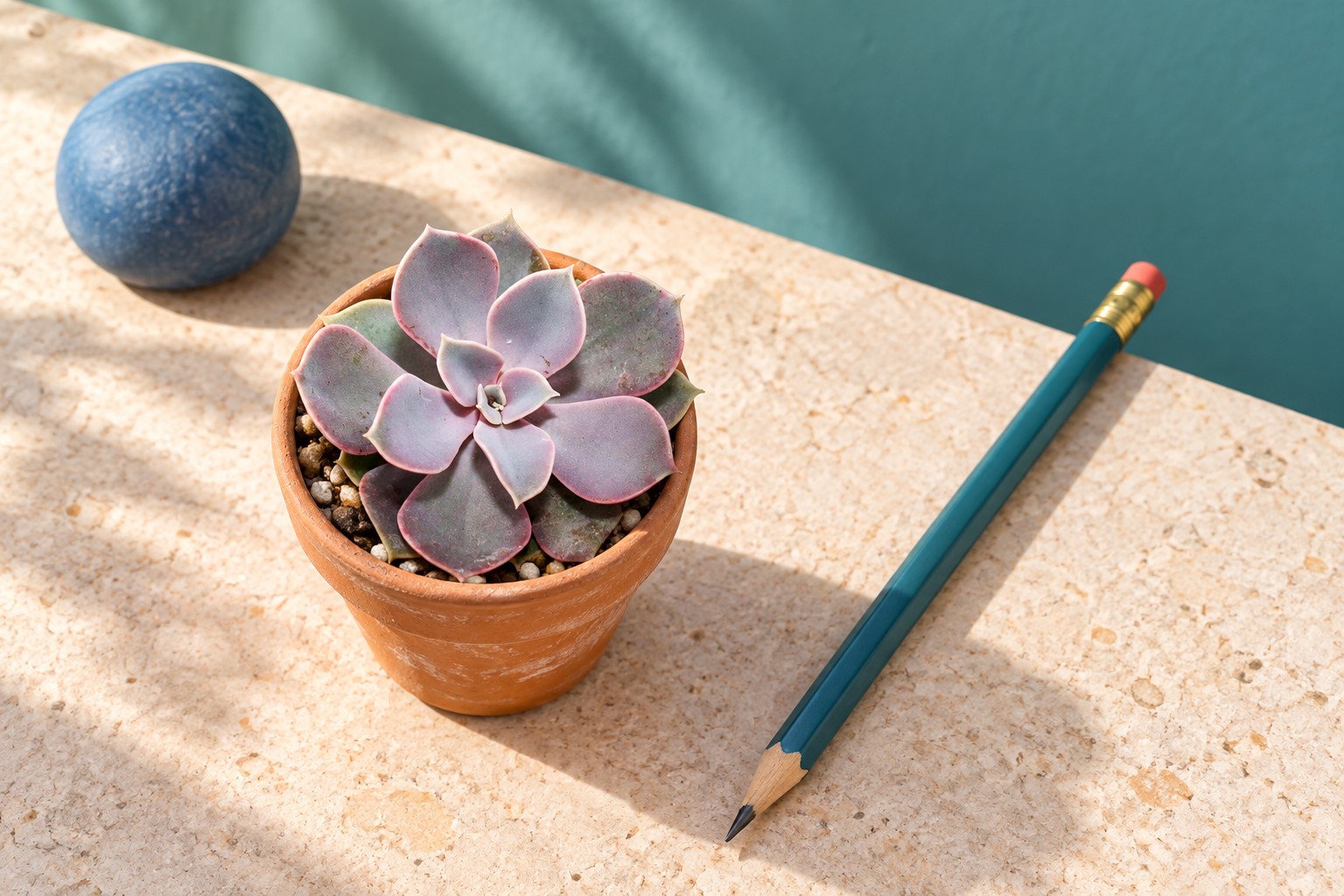 Echeveria Perle von Nürnberg in einer KI-gestalteten Szene nach dem Original-Shopbild