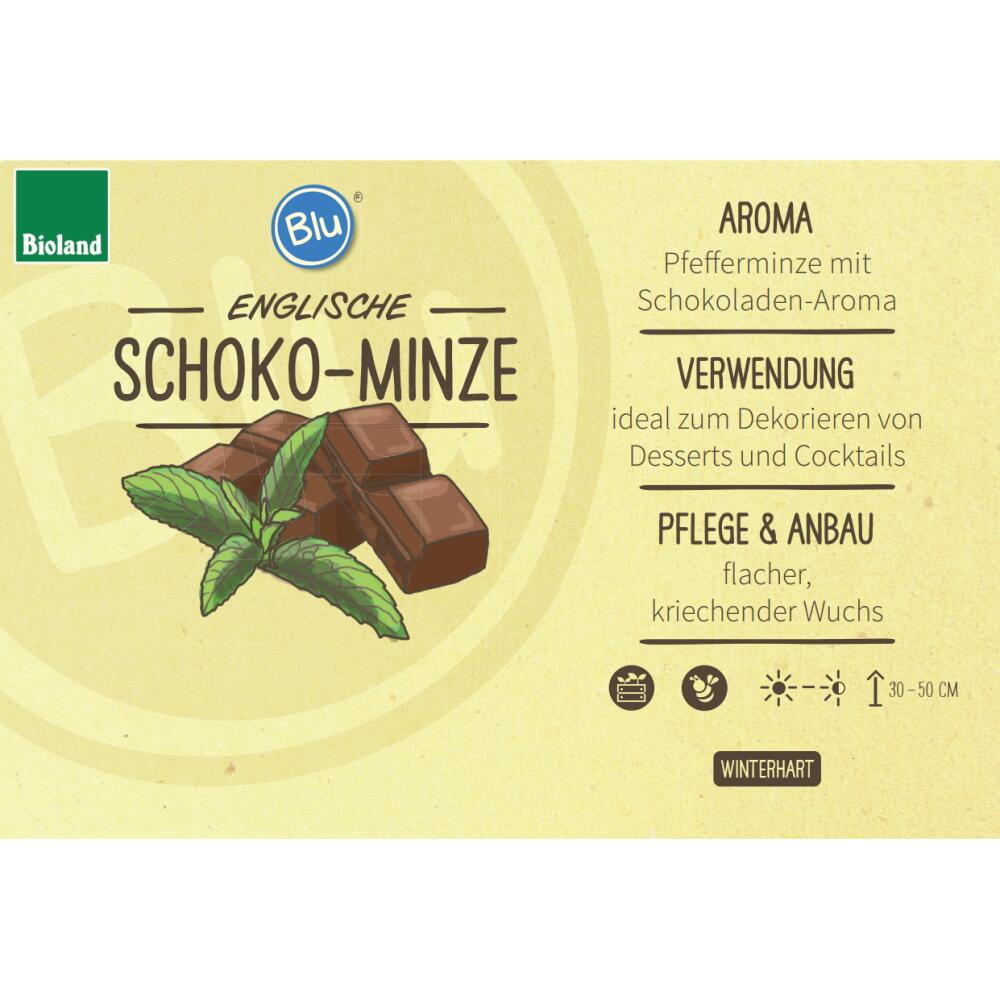 Schoko-Minze – Original-Shopansicht 2